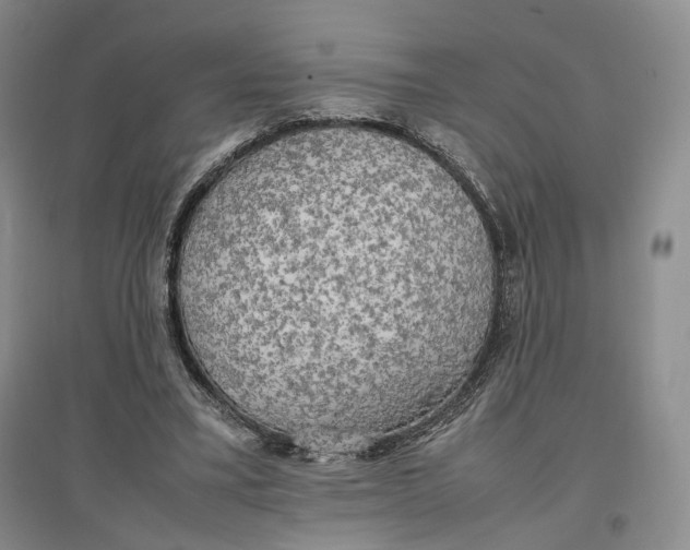 X0000096670395200802261457