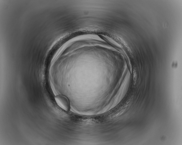 X0000096670396200802261457