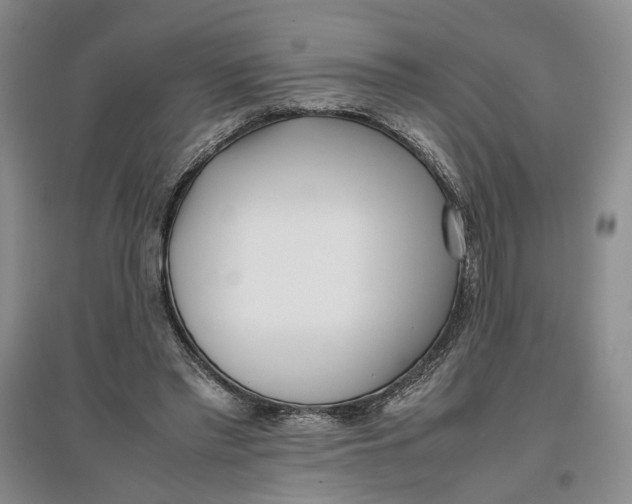 X0000096670397200802261457
