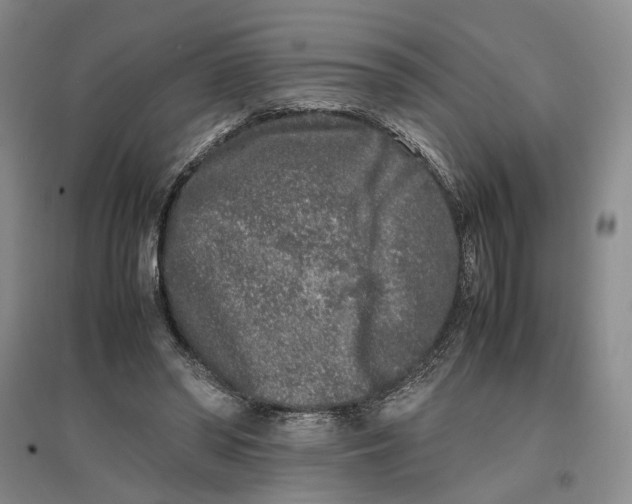 X0000096670398200802261457