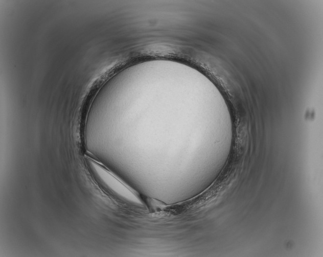 X0000096670399200802261457