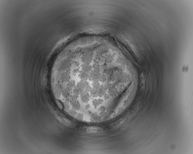 X0000096670400200802261457