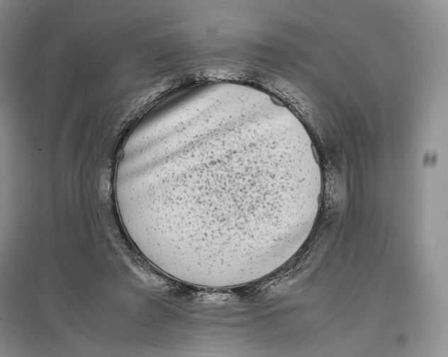 X0000096670401200802261457