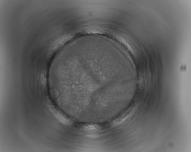 X0000096670402200802261457