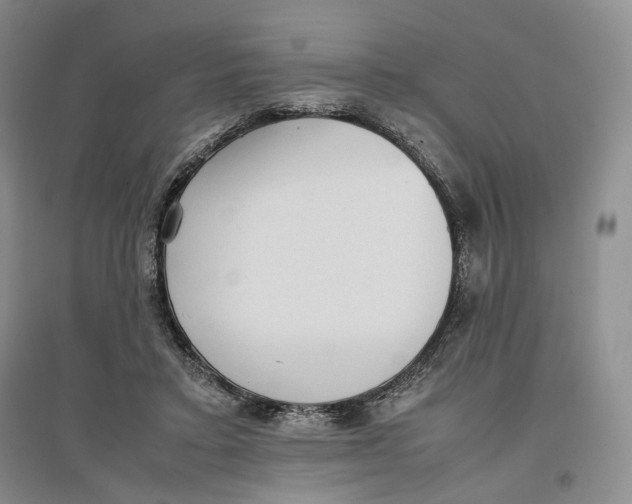 X0000096670403200802261457