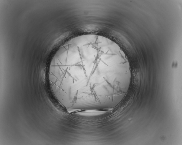 X0000096670404200802261457