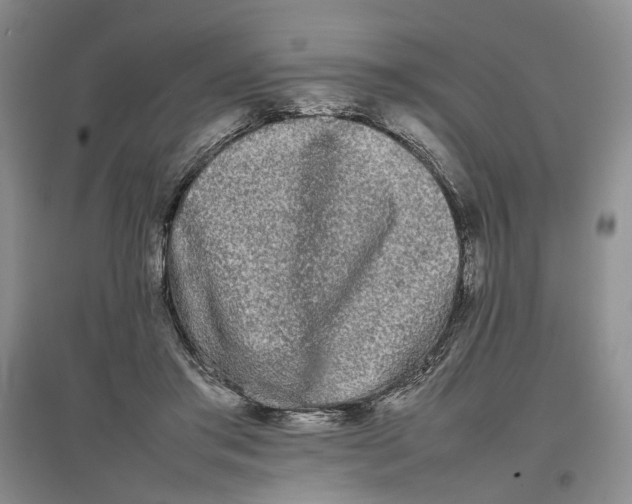 X0000096670405200802261457