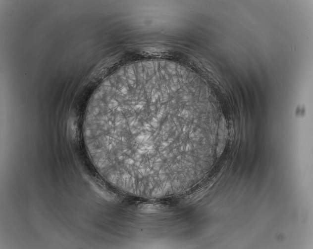 X0000096670408200802261457