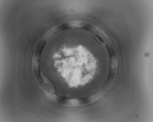 X0000096670409200802261457