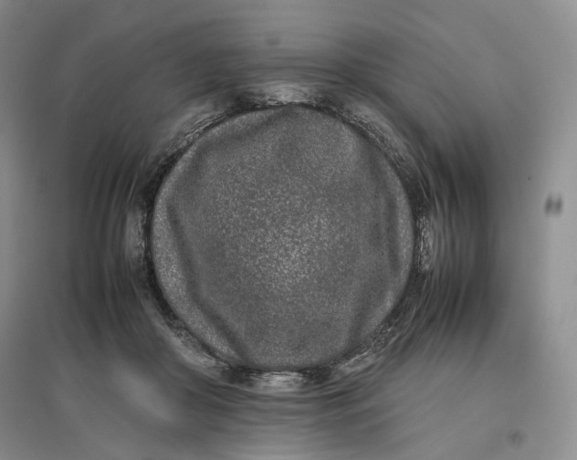 X0000096670410200802261457