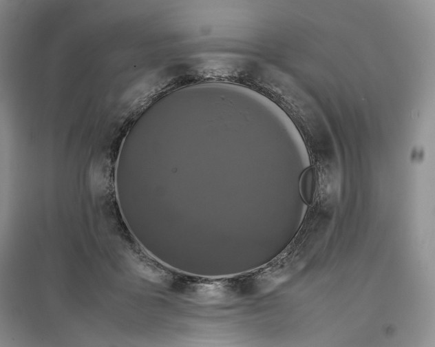 X0000096670411200802261457