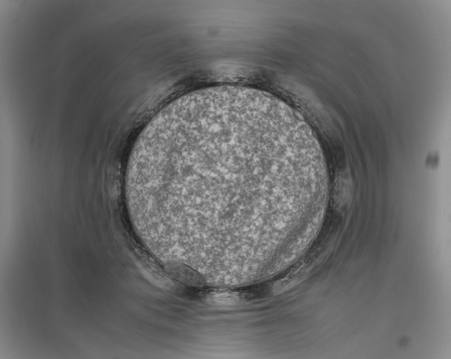 X0000096670413200802261457