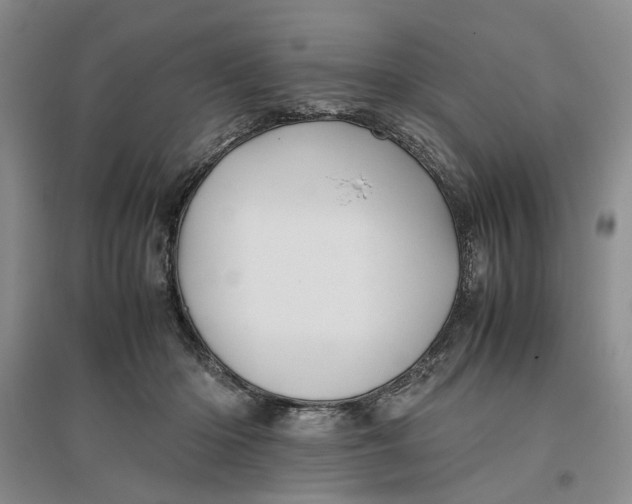 X0000096670414200802261457