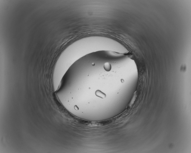 X0000096670415200802261457