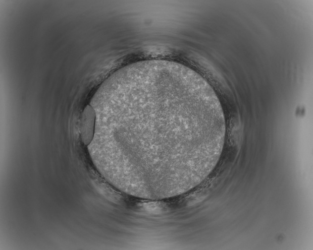 X0000096670417200802261457