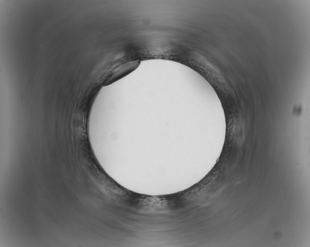 X0000096670421200802261457
