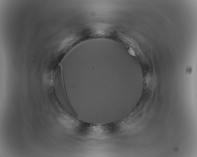 X0000096670423200802261457