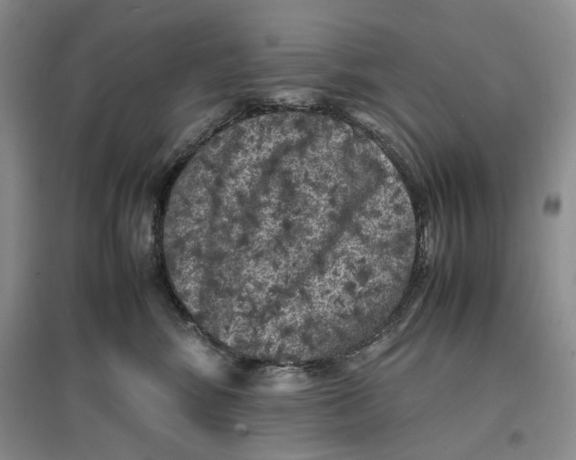 X0000096670424200802261457