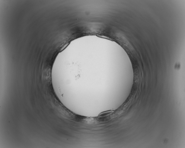 X0000096670425200802261457