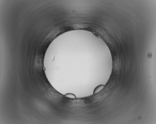 X0000096670426200802261457