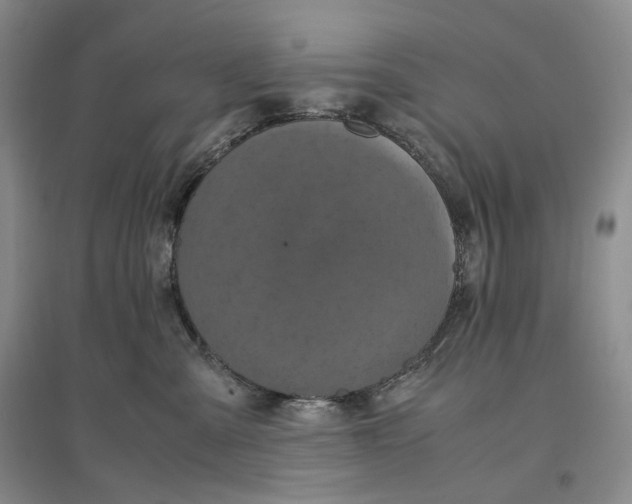 X0000096670427200802261457