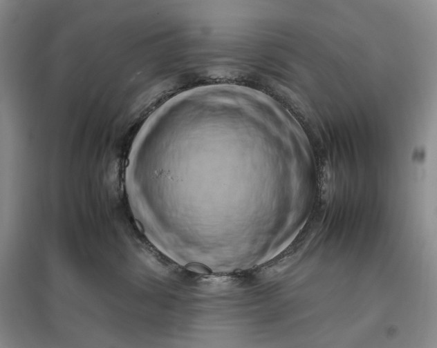 X0000096670428200802261457