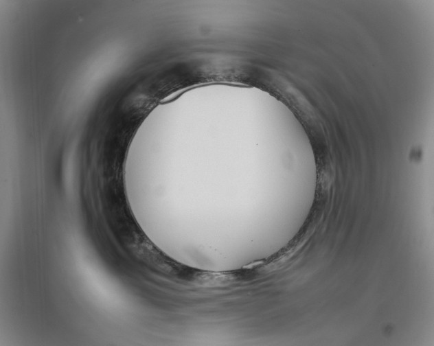 X0000096670429200802261457