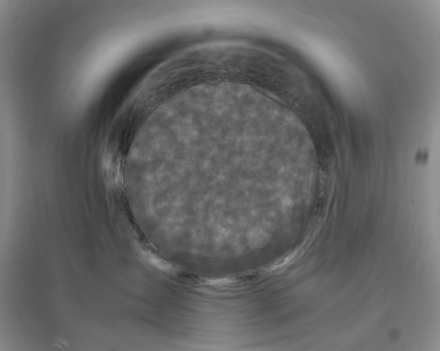 X0000096670431200802261457