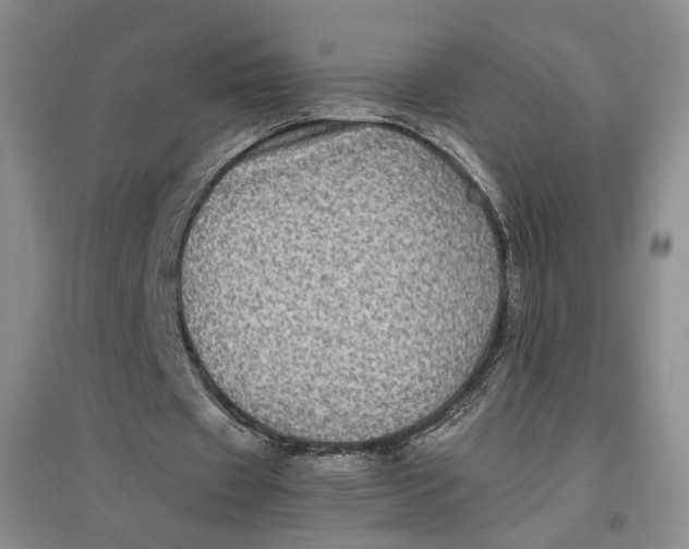X0000096670433200802261456