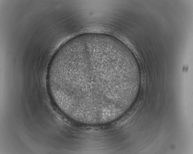 X0000096670434200802261456