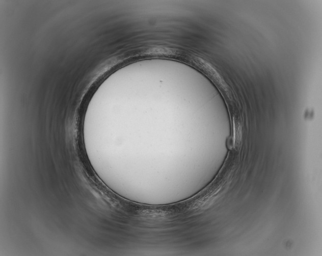 X0000096670435200802261456