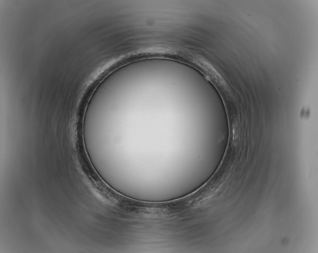 X0000096670436200802261456