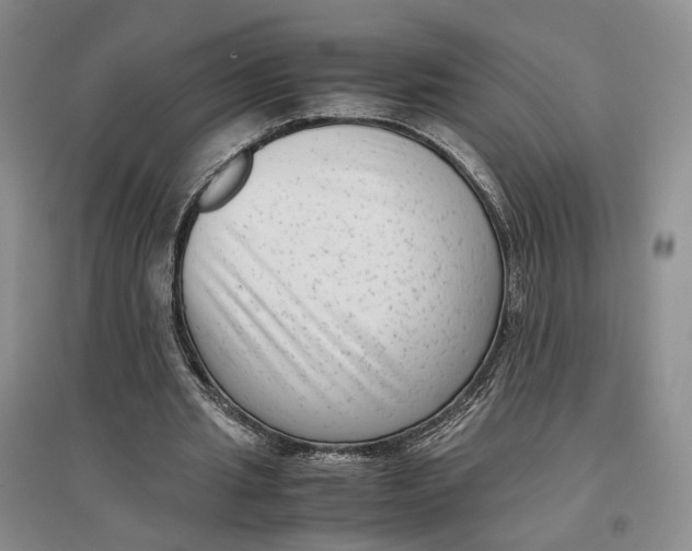 X0000096670437200802261456