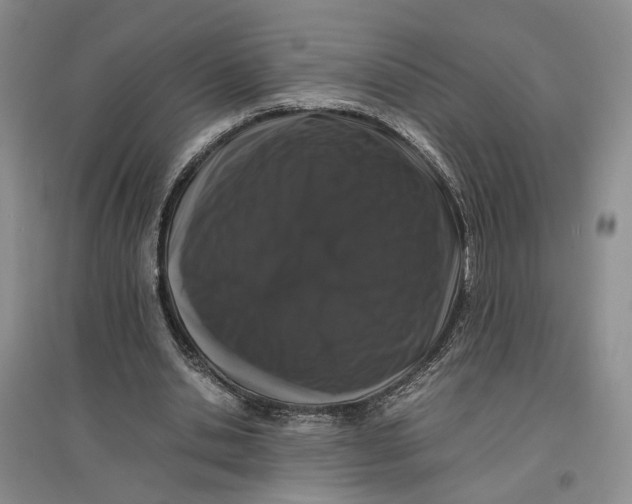 X0000096670438200802261456
