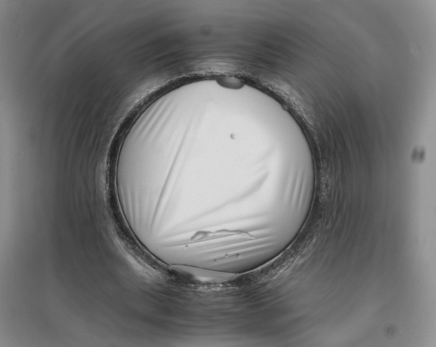 X0000096670439200802261456