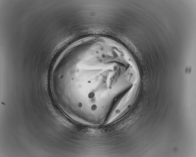 X0000096670442200802261456
