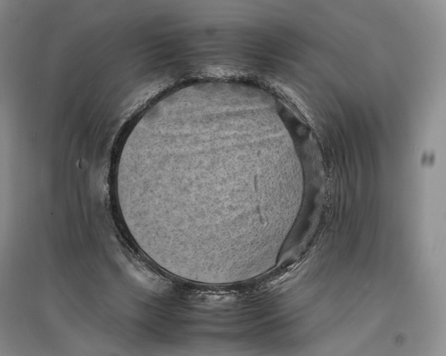 X0000096670443200802261456