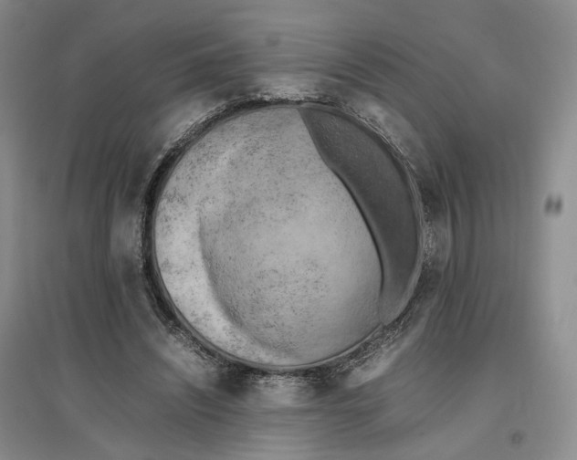 X0000096670444200802261456
