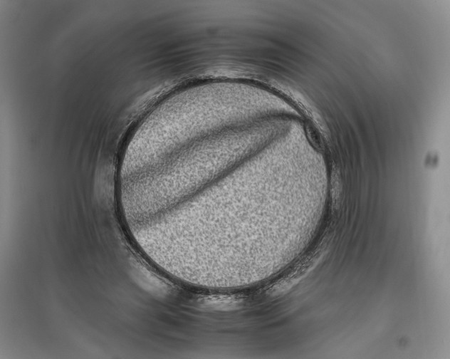 X0000096670445200802261456
