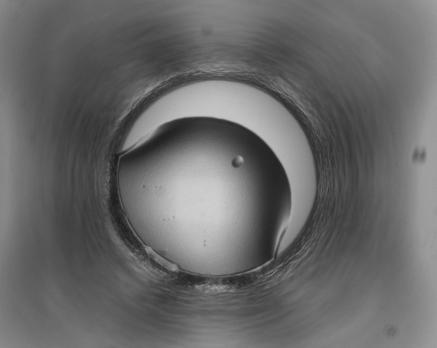X0000096670448200802261456