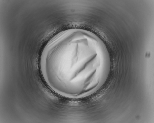 X0000096670450200802261456