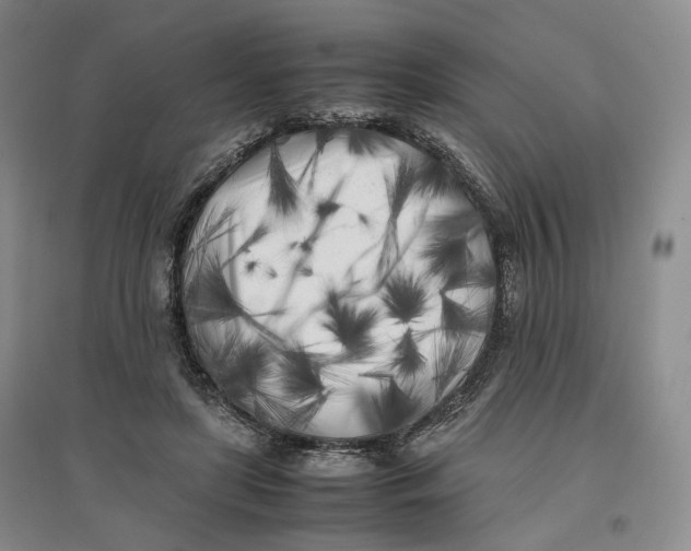 X0000096670451200802261456