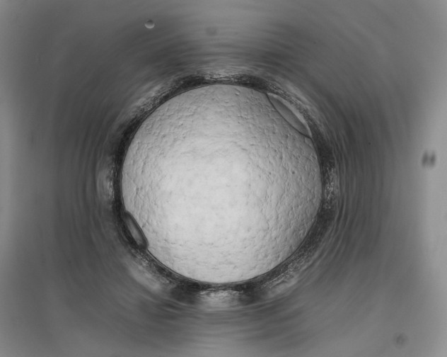 X0000096670452200802261456