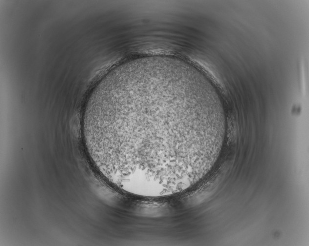 X0000096670453200802261456