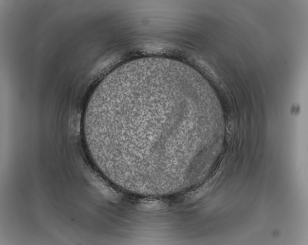 X0000096670454200802261456