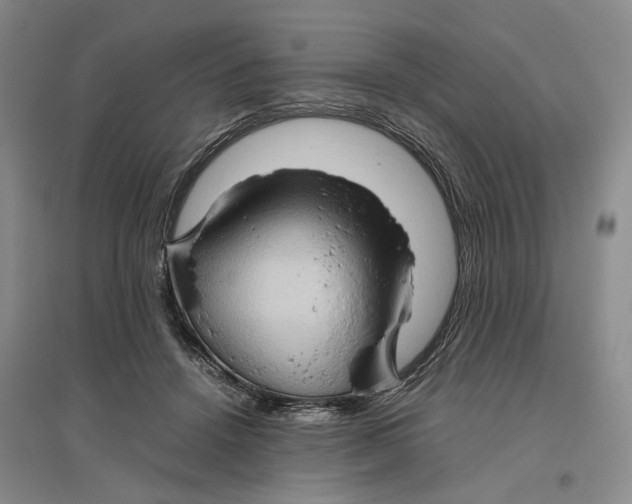 X0000096670456200802261456