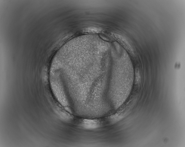 X0000096670457200802261456