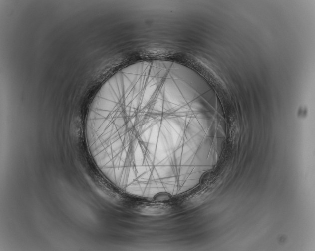X0000096670459200802261456