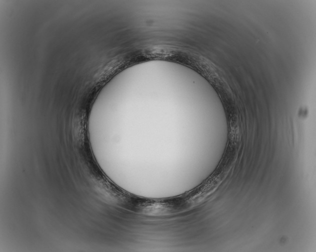 X0000096670460200802261456