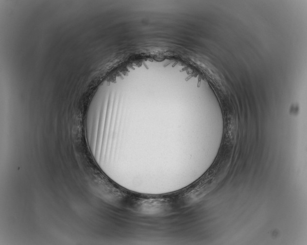 X0000096670461200802261456